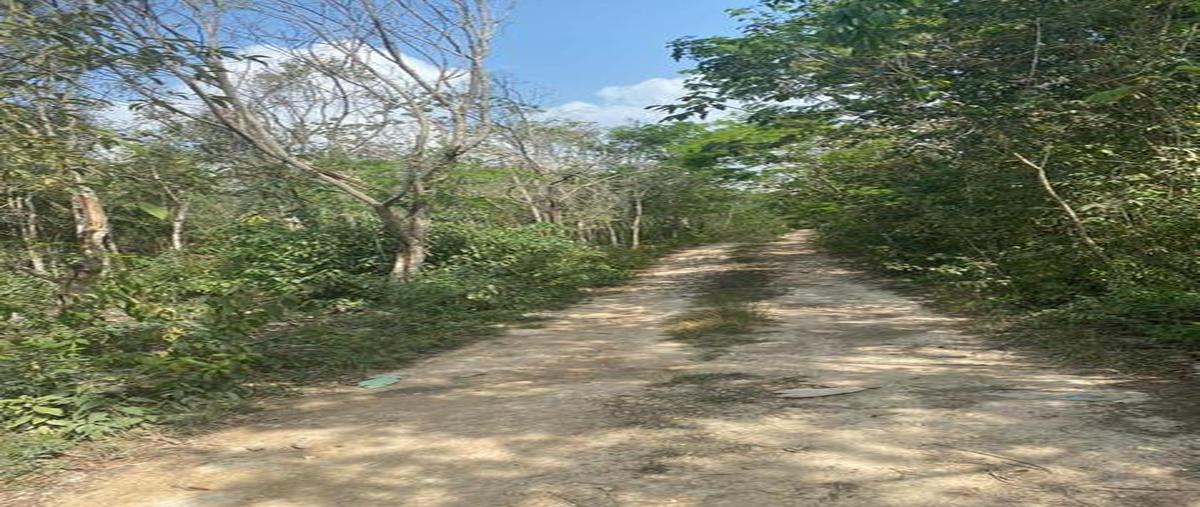 Foto de terreno habitacional en , francisco uh-may, tulum, quintana roo, 0 foto 03 Foto de terreno habitacional en venta en , francisco uh-may, tulum, quintana roo, 0 No. 03