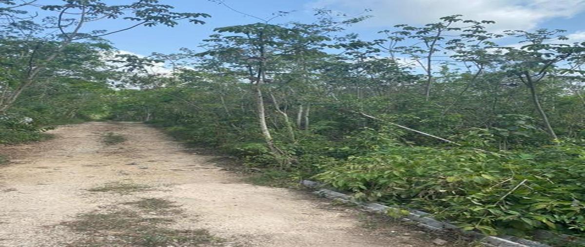 Foto de terreno habitacional en , francisco uh-may, tulum, quintana roo, 0 foto 04 Foto de terreno habitacional en venta en , francisco uh-may, tulum, quintana roo, 0 No. 04
