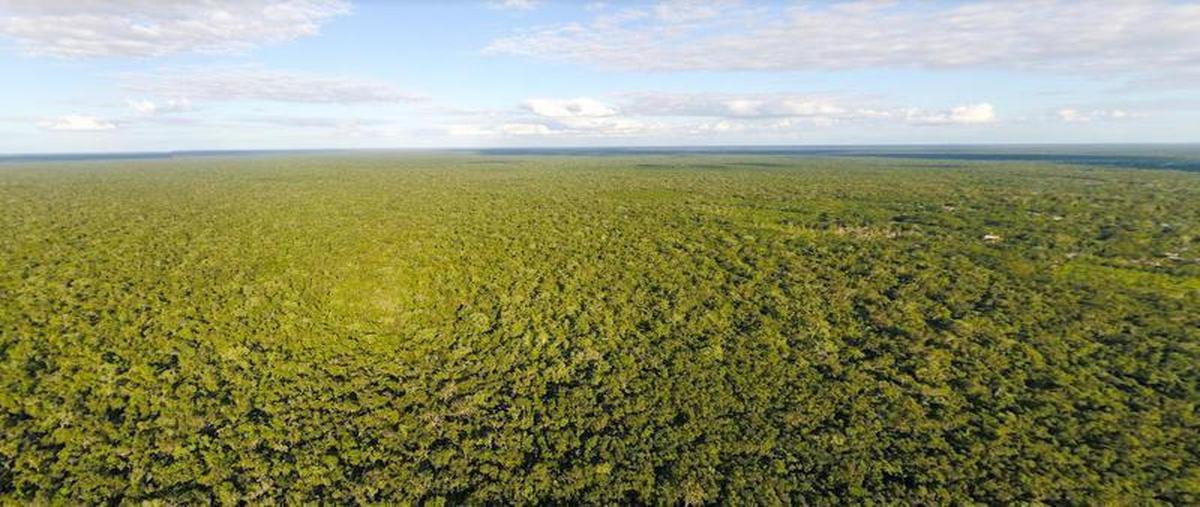 Foto de terreno habitacional en , francisco uh-may, tulum, quintana roo, 0 foto 02 Foto de terreno habitacional en venta en , francisco uh-may, tulum, quintana roo, 0 No. 02