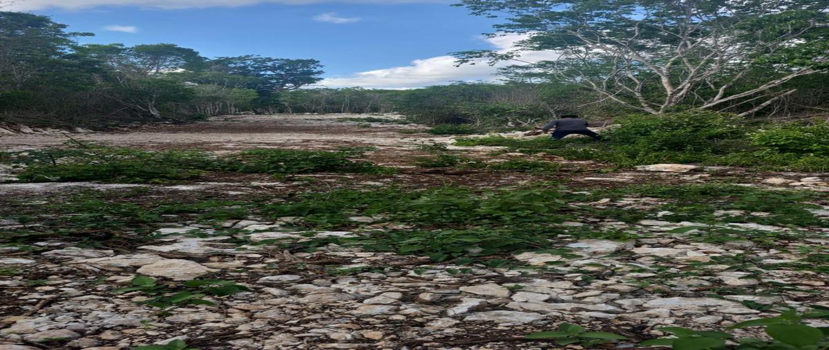 Foto de terreno habitacional en venta en  , francisco uh-may, tulum, quintana roo, 0 No. 05