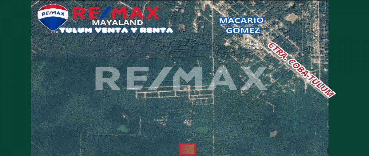 Foto de terreno habitacional en venta en francisco unidad habitacional may camino blanco , francisco uh-may, tulum, quintana roo, 0 No. 03