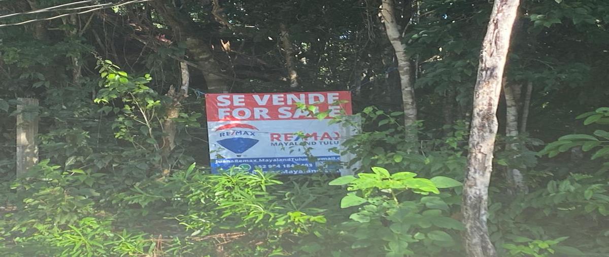 Foto de terreno habitacional en francisco unidad habitacional may , francisco uh-may, tulum, quintana roo, 28172097 foto 03 Foto de terreno habitacional en venta en francisco unidad habitacional may , francisco uh-may, tulum, quintana roo, 28172097 No. 03