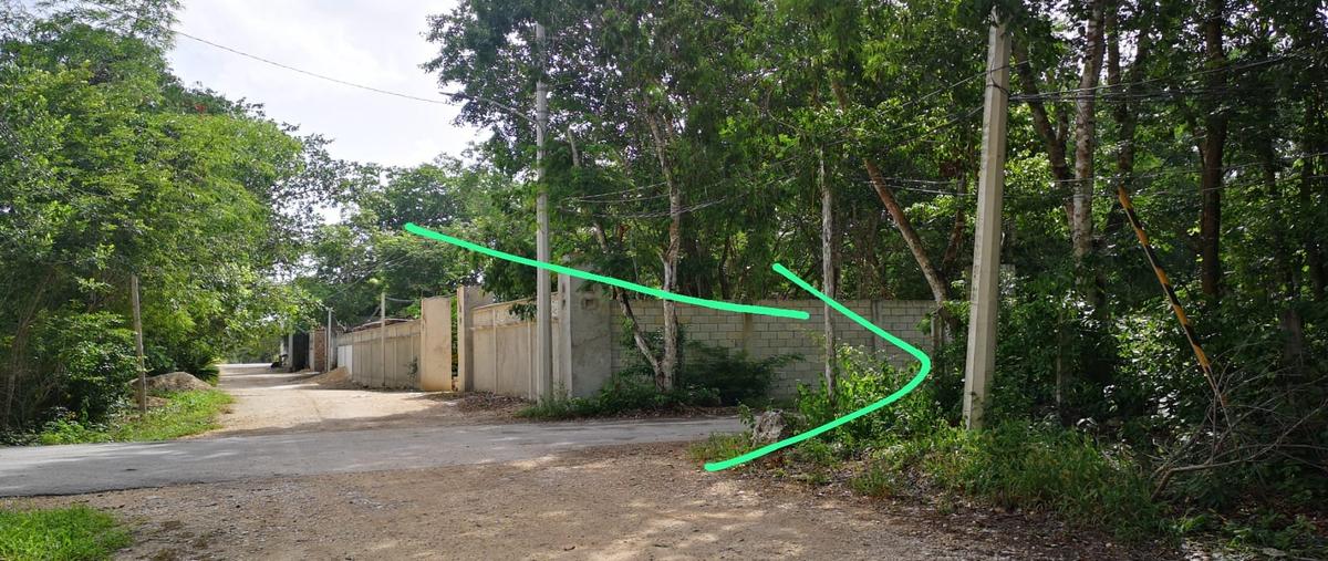 Foto de terreno habitacional en francisco unidad habitacional may , francisco uh-may, tulum, quintana roo, 28172097 foto 05 Foto de terreno habitacional en venta en francisco unidad habitacional may , francisco uh-may, tulum, quintana roo, 28172097 No. 05
