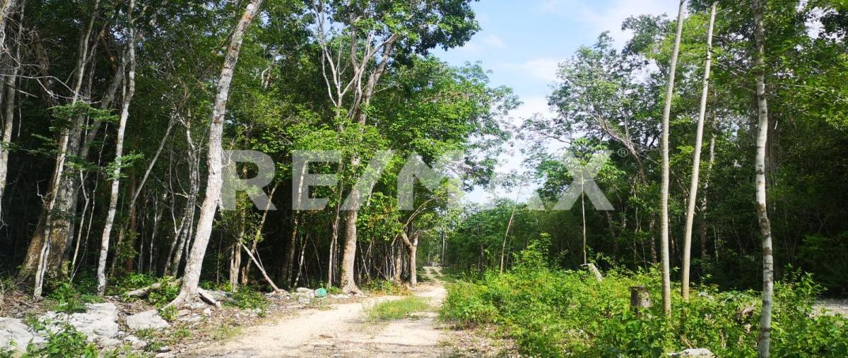 Foto de terreno habitacional en francisco unidad habitacional may , francisco uh-may, tulum, quintana roo, 0 foto 04 Foto de terreno habitacional en venta en francisco unidad habitacional may , francisco uh-may, tulum, quintana roo, 0 No. 04