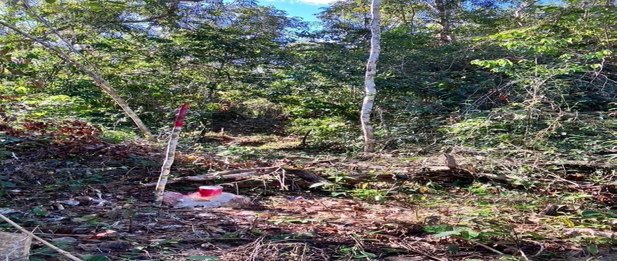 Foto de terreno habitacional en venta en francisco unidad habitacional may , francisco uh-may, tulum, quintana roo, 28609216 No. 03