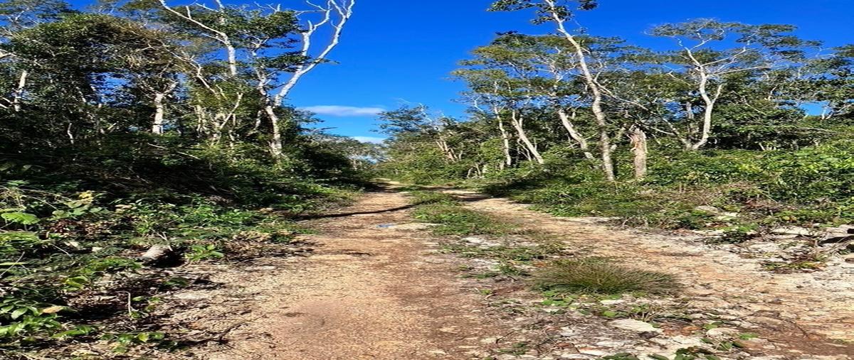 Foto de terreno habitacional en venta en francisco unidad habitacional may , francisco uh-may, tulum, quintana roo, 28609216 No. 04