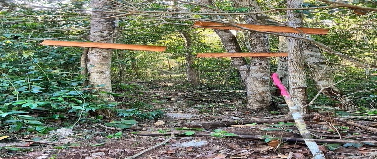 Foto de terreno habitacional en venta en francisco unidad habitacional may , manuel antonio ay, tulum, quintana roo, 28609216 No. 05