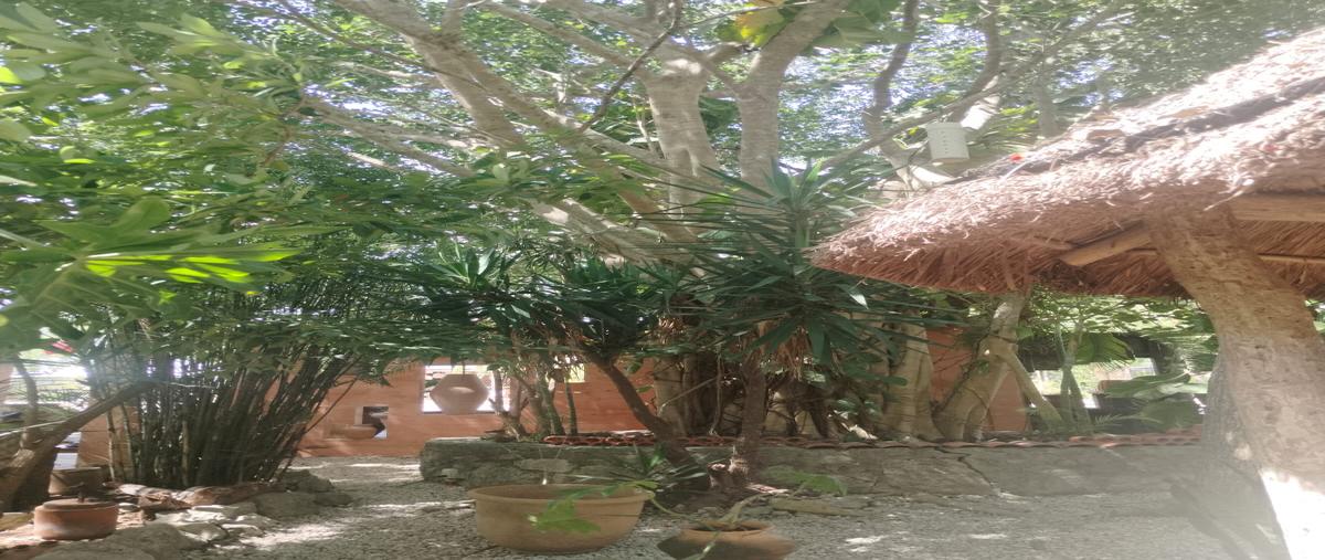 Foto de terreno habitacional en venta en francisco unidad habitacional may municipio de tulum , francisco uh-may, tulum, quintana roo, 31500628 No. 04