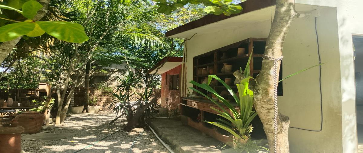 Foto de terreno habitacional en venta en francisco unidad habitacional may municipio de tulum , francisco uh-may, tulum, quintana roo, 31500628 No. 05