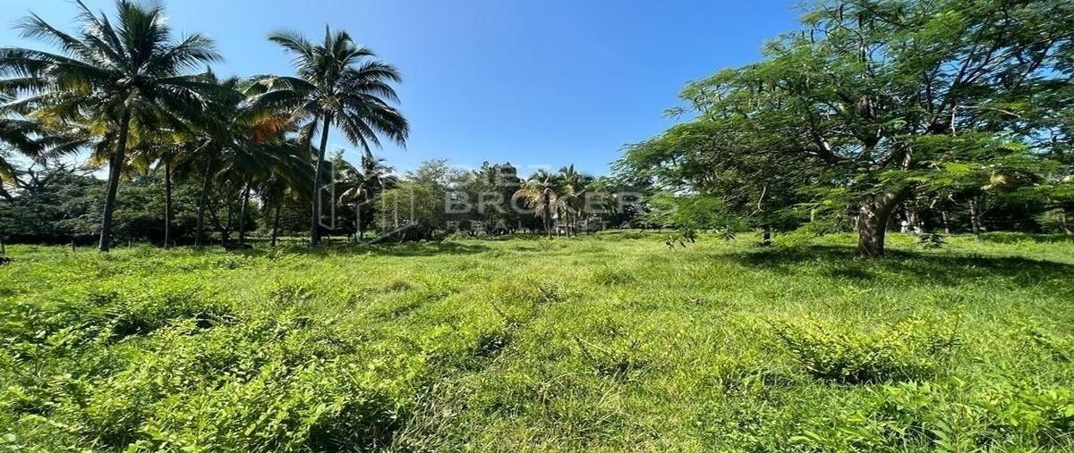 Foto de terreno habitacional en venta en francisco velazco curiel , cuauhtémoc, colima, colima, 26500795 No. 03