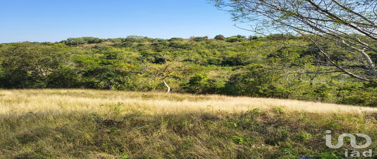 Foto de terreno habitacional en venta en francisco villa 84, villa emiliano zapata, emiliano zapata, veracruz de ignacio de la llave, 30801265 No. 03