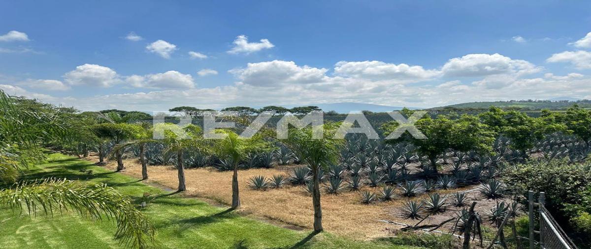 Foto de rancho en francisco villa , buenavista, ixtlahuacán de los membrillos, jalisco, 0 foto 01 Foto de rancho en venta en francisco villa , buenavista, ixtlahuacán de los membrillos, jalisco, 0 No. 01