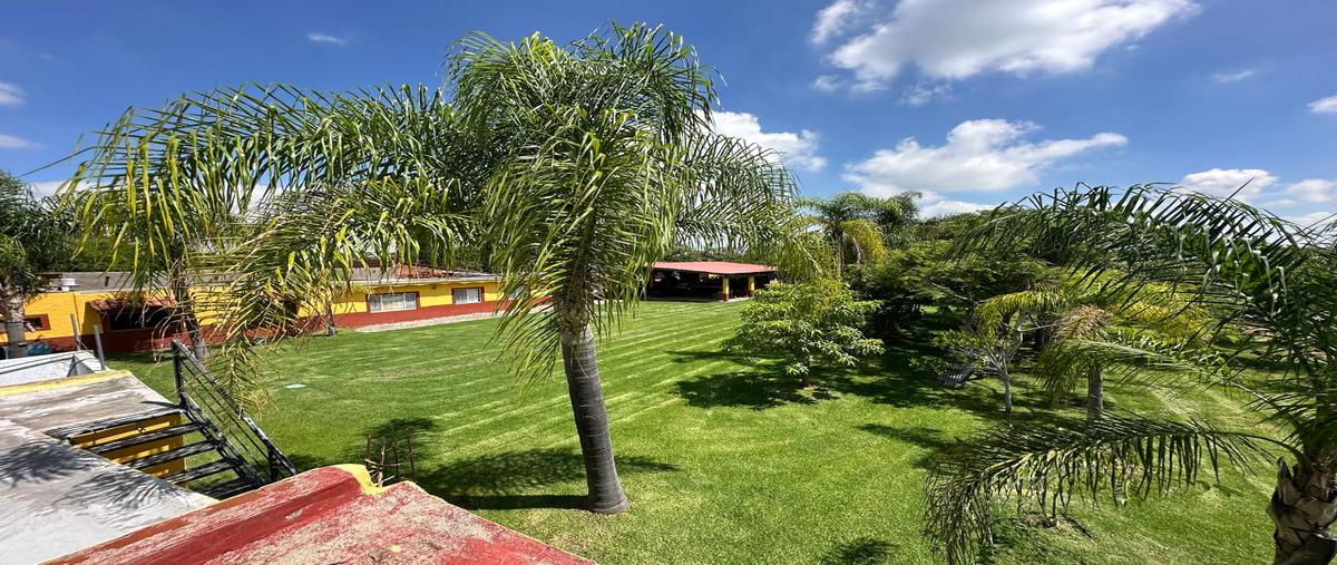 Foto de terreno comercial en francisco villa , buenavista, ixtlahuacán de los membrillos, jalisco, 28427406 foto 02 Foto de terreno comercial en venta en francisco villa , buenavista, ixtlahuacán de los membrillos, jalisco, 28427406 No. 02