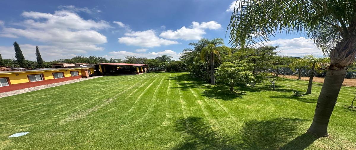 Foto de terreno comercial en francisco villa , buenavista, ixtlahuacán de los membrillos, jalisco, 28427406 foto 04 Foto de terreno comercial en venta en francisco villa , buenavista, ixtlahuacán de los membrillos, jalisco, 28427406 No. 04