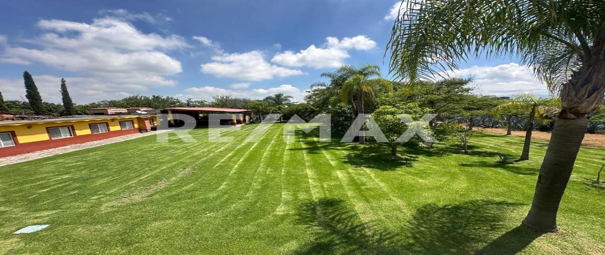 Foto de rancho en francisco villa , buenavista, ixtlahuacán de los membrillos, jalisco, 0 foto 04 Foto de rancho en venta en francisco villa , buenavista, ixtlahuacán de los membrillos, jalisco, 0 No. 04