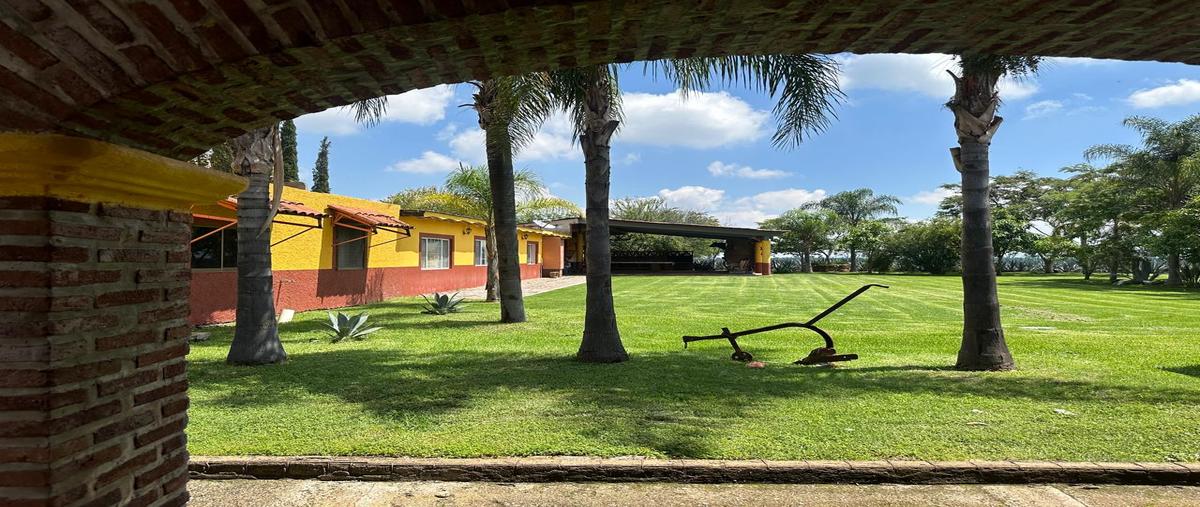 Foto de terreno comercial en francisco villa , buenavista, ixtlahuacán de los membrillos, jalisco, 28427406 foto 05 Foto de terreno comercial en venta en francisco villa , buenavista, ixtlahuacán de los membrillos, jalisco, 28427406 No. 05