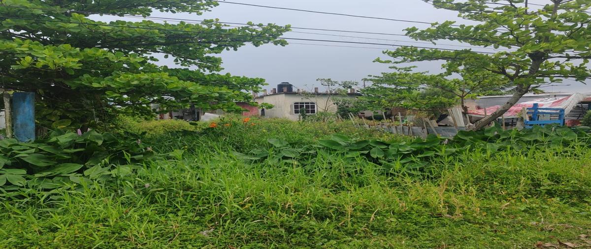 Foto de terreno habitacional en venta en  , francisco villa, coatzacoalcos, veracruz de ignacio de la llave, 0 No. 04