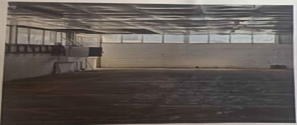 Foto de bodega en venta en  , francisco villa, cuauhtémoc, chihuahua, 0 No. 03