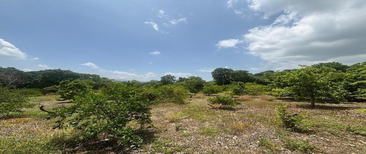 Foto de terreno habitacional en francisco villa , emiliano zapata, tuxtla gutiérrez, chiapas, 0 foto 01 Foto de terreno habitacional en venta en francisco villa , emiliano zapata, tuxtla gutiérrez, chiapas, 0 No. 01