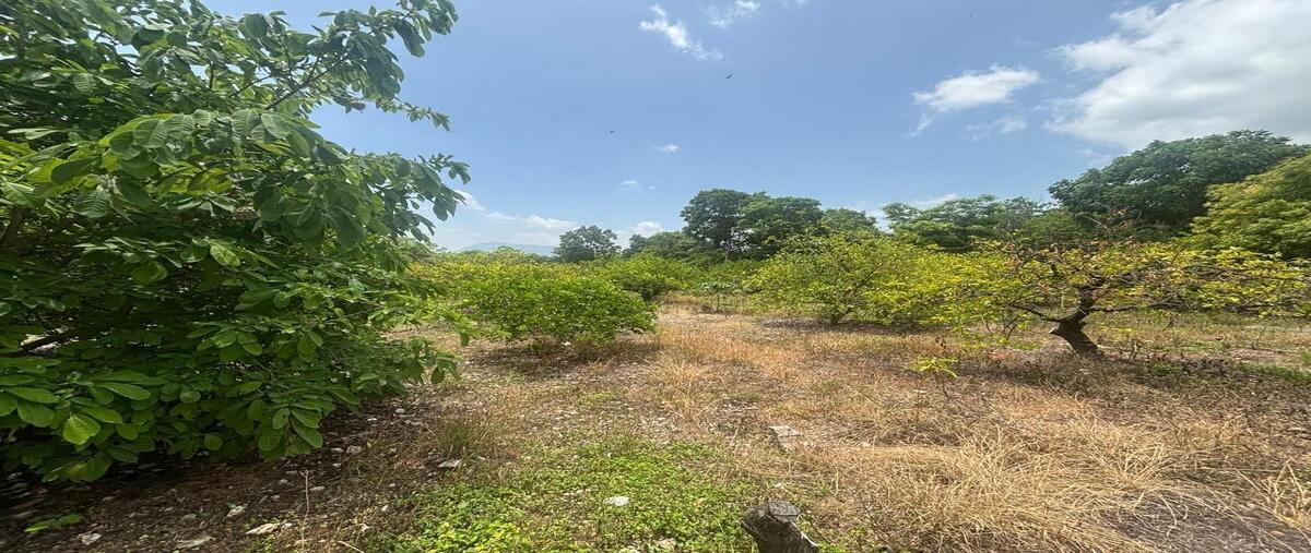 Foto de terreno habitacional en francisco villa , emiliano zapata, tuxtla gutiérrez, chiapas, 0 foto 02 Foto de terreno habitacional en venta en francisco villa , emiliano zapata, tuxtla gutiérrez, chiapas, 0 No. 02