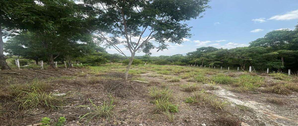 Foto de terreno habitacional en francisco villa , emiliano zapata, tuxtla gutiérrez, chiapas, 0 foto 05 Foto de terreno habitacional en venta en francisco villa , emiliano zapata, tuxtla gutiérrez, chiapas, 0 No. 05