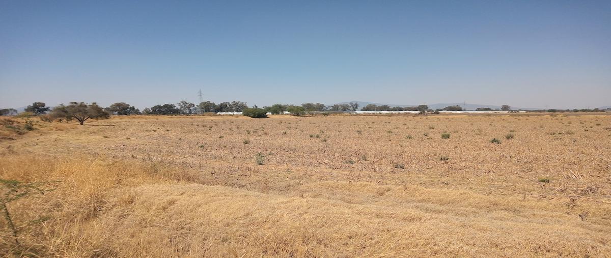Foto de terreno comercial en venta en francisco villa , las malayas, acámbaro, guanajuato, 24225413 No. 04