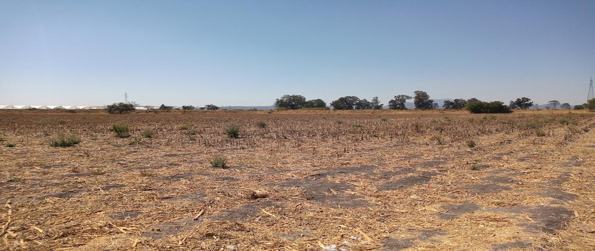 Foto de terreno comercial en venta en francisco villa , las malayas, acámbaro, guanajuato, 24225413 No. 05