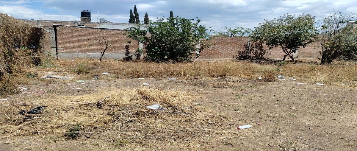 Foto de terreno comercial en renta en francisco villa , los ángeles, silao de la victoria, guanajuato, 26466675 No. 03