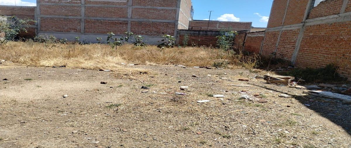 Foto de terreno comercial en renta en francisco villa , los ángeles, silao de la victoria, guanajuato, 26466675 No. 04