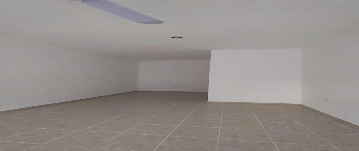 Foto de local en renta en  , francisco villa oriente, kanasín, yucatán, 30526469 No. 05