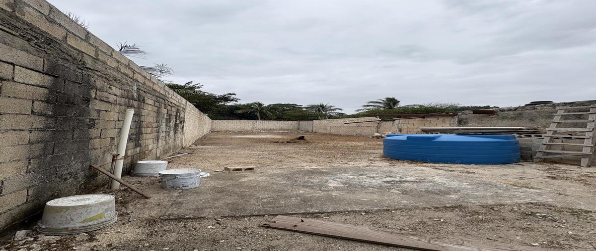 Foto de terreno habitacional en , francisco villa oriente, kanasín, yucatán, 30834323 foto 05 Foto de terreno habitacional en venta en , francisco villa oriente, kanasín, yucatán, 30834323 No. 05