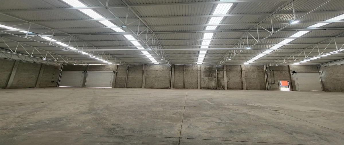 Foto de bodega en renta en francisco villa , potrero nuevo, el salto, jalisco, 0 No. 09