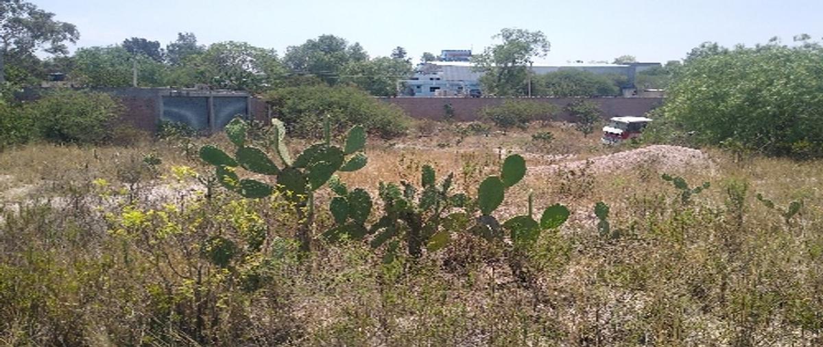 Foto de terreno habitacional en renta en francisco villa , progreso, atotonilco de tula, hidalgo, 0 No. 01