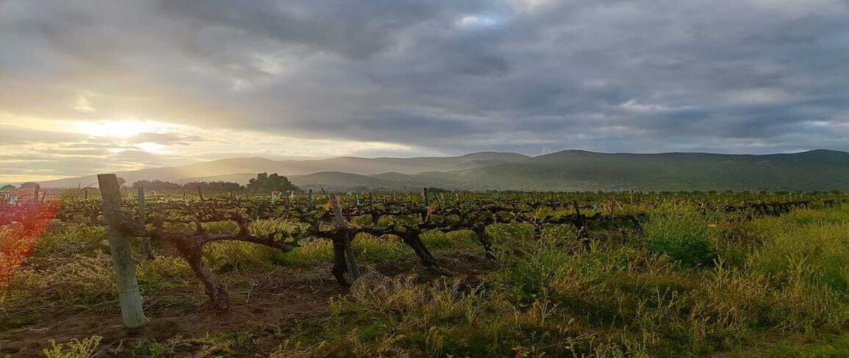 Foto de terreno habitacional en venta en francisco zarco , francisco zarco (valle de guadalupe), ensenada, baja california, 29316345 No. 01