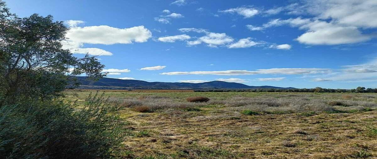 Foto de terreno habitacional en venta en francisco zarco , francisco zarco (valle de guadalupe), ensenada, baja california, 29316345 No. 02