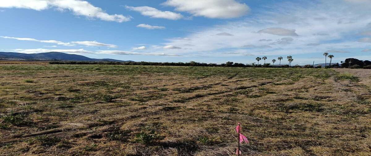 Foto de terreno habitacional en venta en francisco zarco , francisco zarco (valle de guadalupe), ensenada, baja california, 29316345 No. 03