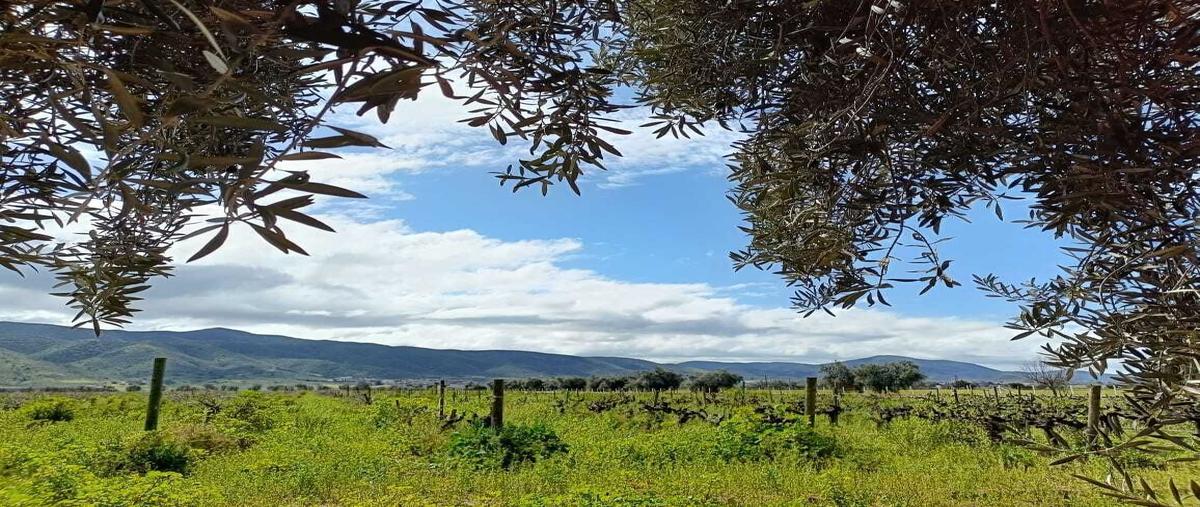 Foto de terreno habitacional en venta en francisco zarco , francisco zarco (valle de guadalupe), ensenada, baja california, 29316345 No. 04