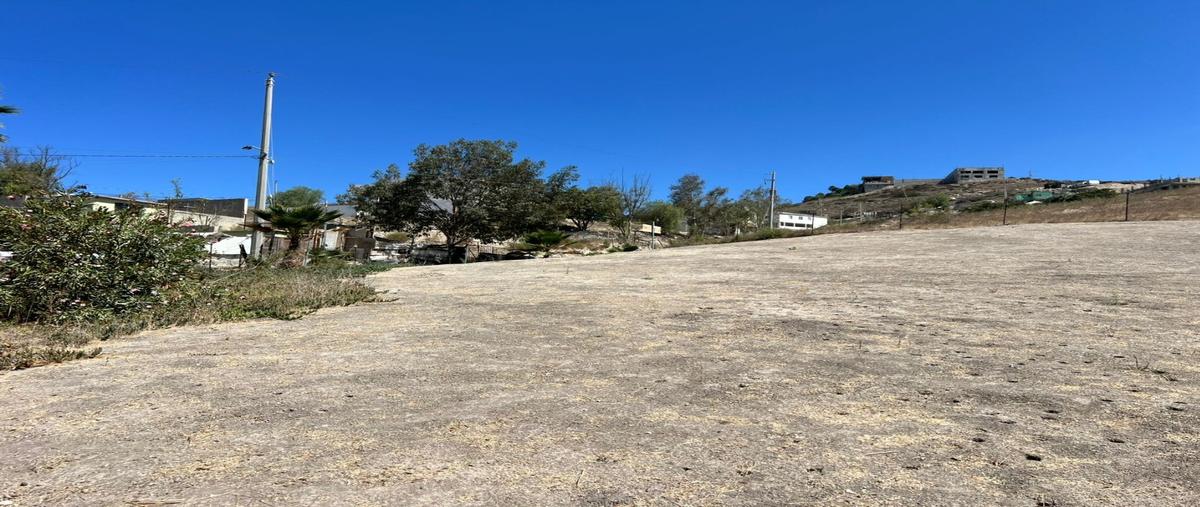 Foto de terreno habitacional en venta en  , francisco zarco, tijuana, baja california, 31717116 No. 05