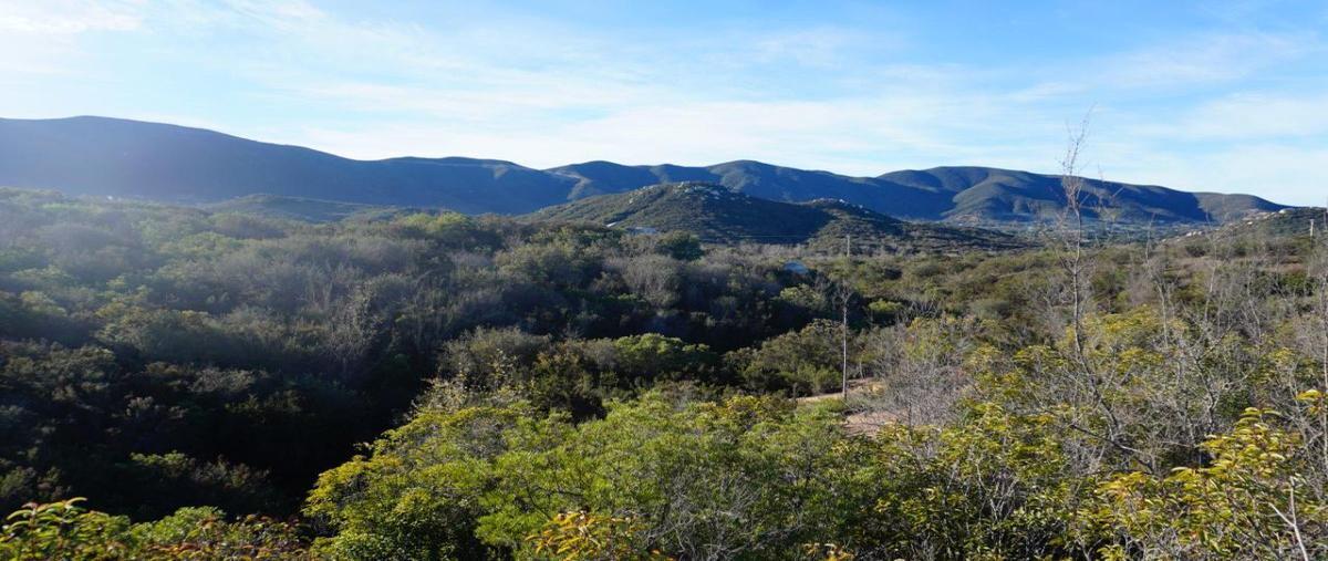 Foto de terreno habitacional en venta en  , francisco zarco (valle de guadalupe), ensenada, baja california, 13886391 No. 03