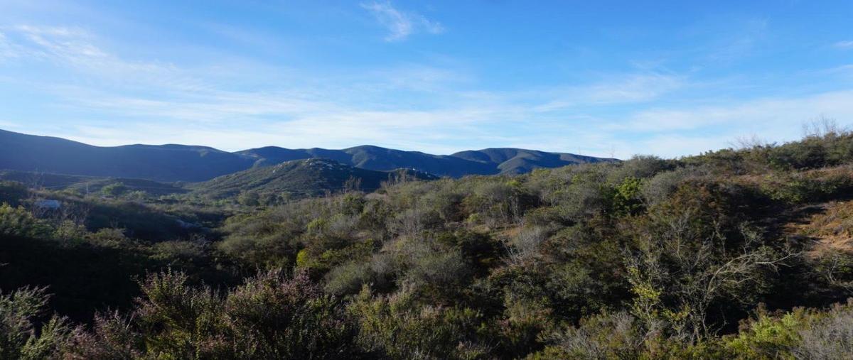 Foto de terreno habitacional en venta en  , francisco zarco (valle de guadalupe), ensenada, baja california, 13886391 No. 04