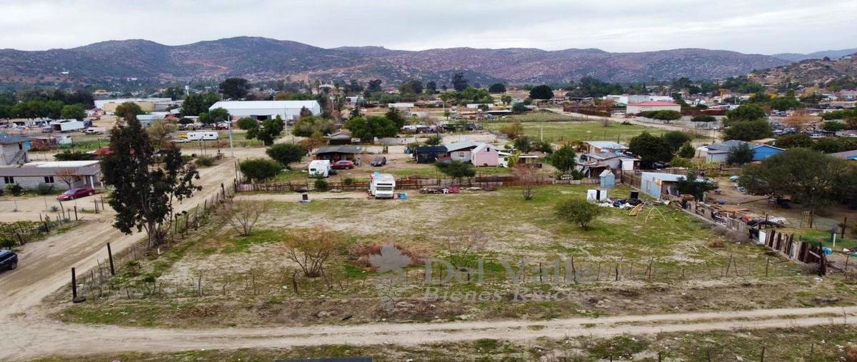 Foto de terreno habitacional en venta en  , francisco zarco (valle de guadalupe), ensenada, baja california, 19169726 No. 03