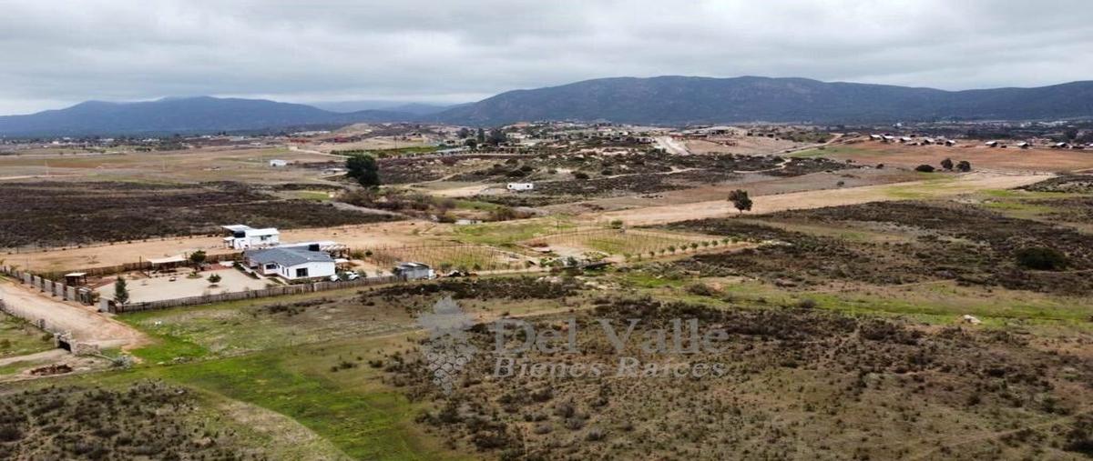 Foto de terreno habitacional en venta en  , francisco zarco (valle de guadalupe), ensenada, baja california, 19260726 No. 04