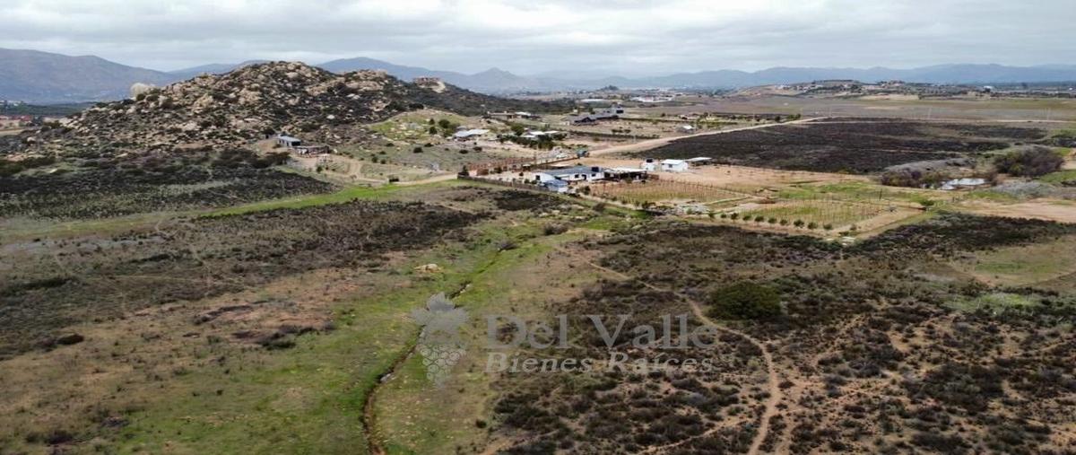 Foto de terreno habitacional en venta en  , francisco zarco (valle de guadalupe), ensenada, baja california, 19260726 No. 05