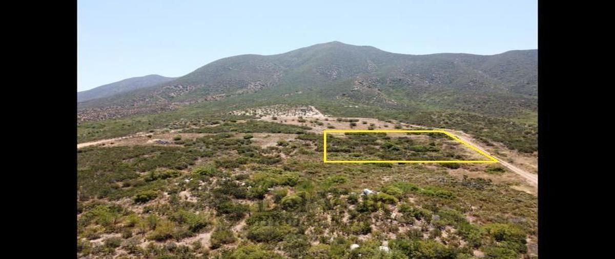 Foto de terreno habitacional en , francisco zarco (valle de guadalupe), ensenada, baja california, 20830527 foto 02 Foto de terreno habitacional en venta en , francisco zarco (valle de guadalupe), ensenada, baja california, 20830527 No. 02