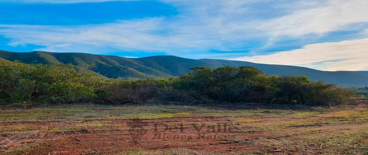 Foto de terreno habitacional en , francisco zarco (valle de guadalupe), ensenada, baja california, 20830527 foto 04 Foto de terreno habitacional en venta en , francisco zarco (valle de guadalupe), ensenada, baja california, 20830527 No. 04