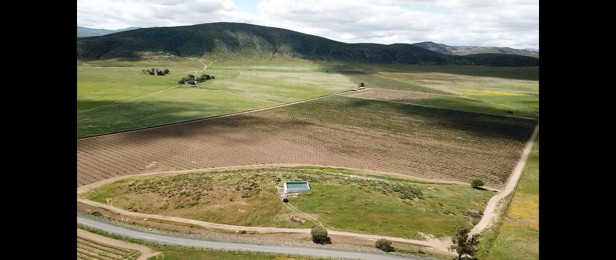 Foto de terreno habitacional en venta en  , francisco zarco (valle de guadalupe), ensenada, baja california, 20884306 No. 04