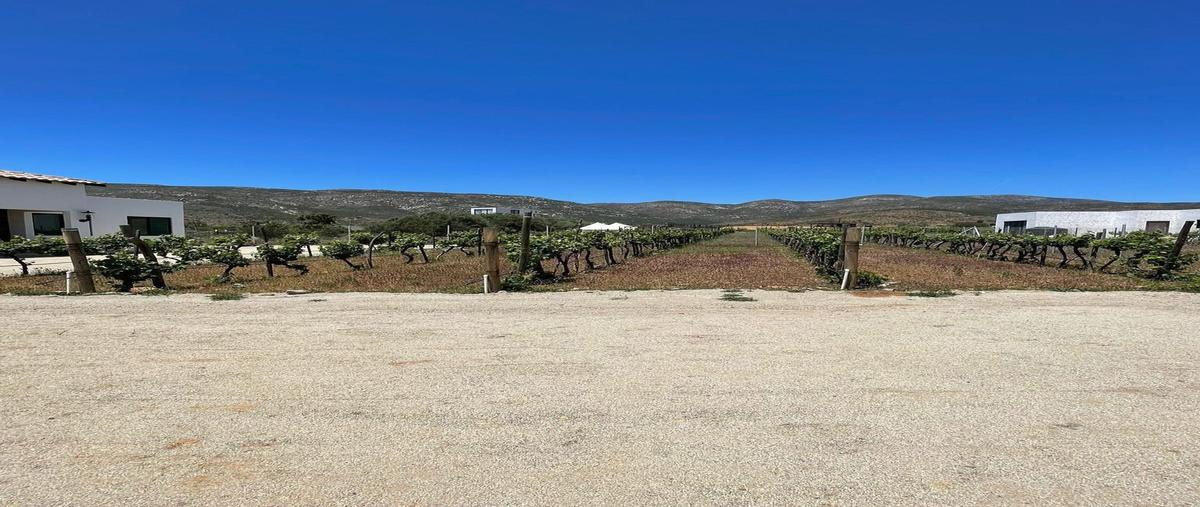 Foto de casa en venta en  , francisco zarco (valle de guadalupe), ensenada, baja california, 23580965 No. 02