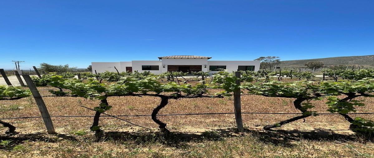 Foto de casa en venta en  , francisco zarco (valle de guadalupe), ensenada, baja california, 23580965 No. 03