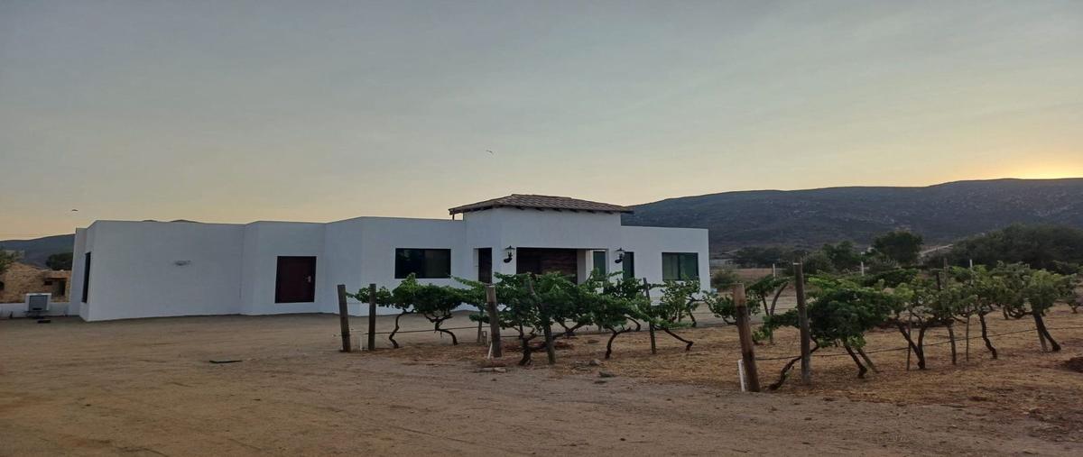 Foto de casa en venta en  , francisco zarco (valle de guadalupe), ensenada, baja california, 23580965 No. 04