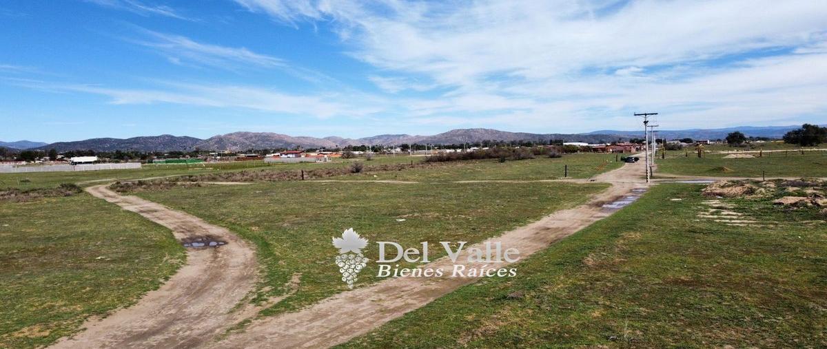 Foto de terreno habitacional en venta en  , francisco zarco (valle de guadalupe), ensenada, baja california, 24256596 No. 03